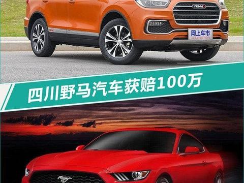 福特野马将更名 商标侵权赔偿-四川野马100万