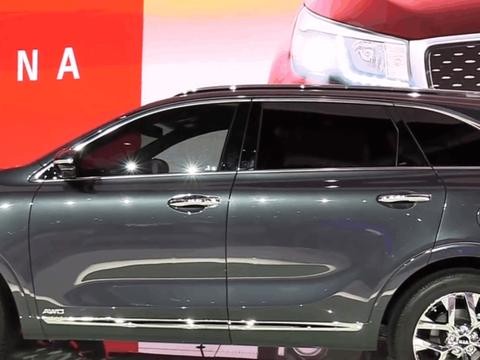 谁说起亚每次都是小众的消费者