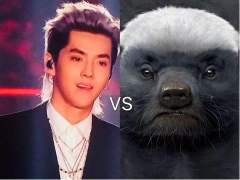 吉利又放大招! 新款帝豪GL近日上市, 更高品质, 奔驰C级见了紧张