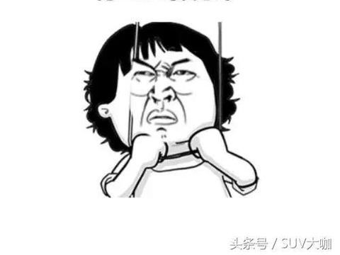 这些明明就是台面包车，装什么SUV