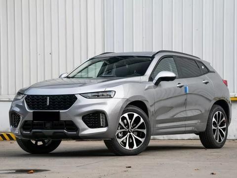 这些特别牛的国产车最便宜6万起售，闪光点比合资车还多！