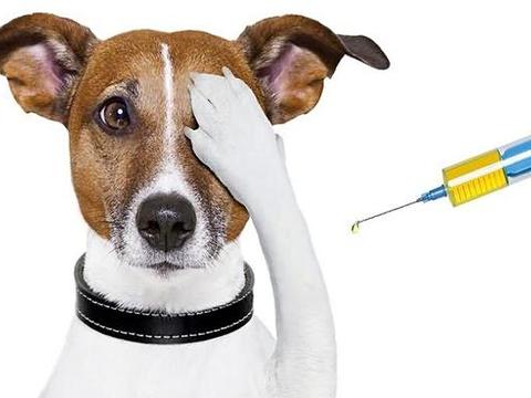 防溺水救援技巧 溺水自救的正确方法