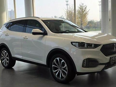 长城最新款豪车亮相，或15万起，套娃设计大众都服了