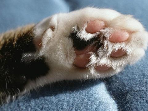 随着时代的发展,人们的生活水平不断提高语病在哪？