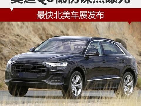 最快北美车展发布 奥迪Q8低伪谍照曝光