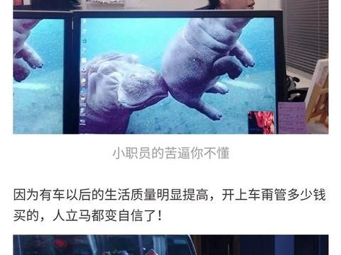 买车容易养车难 朗逸 一年养车花三万