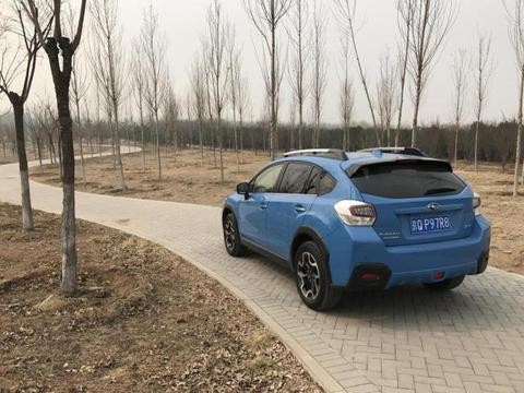 居家男原来是这样的