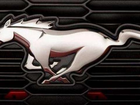 福特在内地被告侵权，不久前赔偿后改名，如今又遭集体投诉！