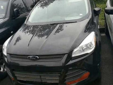 偶遇一批福特翼虎进口车，外观内饰全新，工作人员：给5万就开走