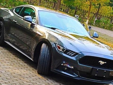 有着豪车的外观, 但是没有豪车的价格, 就像这4款车