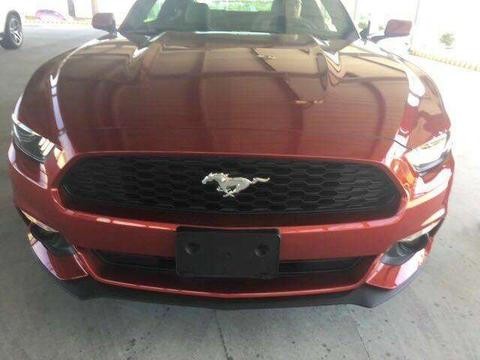 福特野马多少钱能落地?