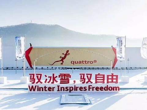 追冰逐雪，驾驭自由