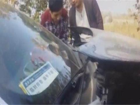 英菲尼迪撞了一只鸡，安全气囊都开了，维修价格让车主毫无办法