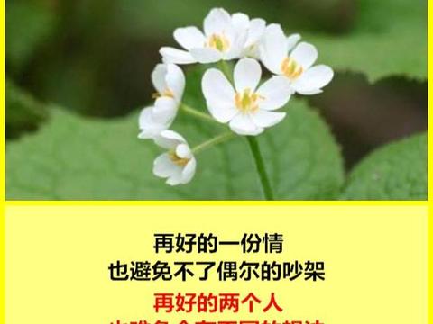 人总是很奇怪,在你身边的你不珍惜,总是想要那些你得