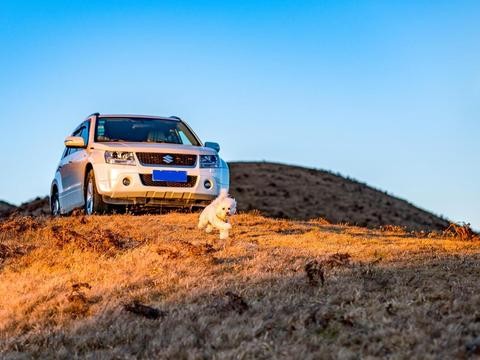 雨燕车主添铃木超级维特拉, 越野能力强直言23万在中国太难卖