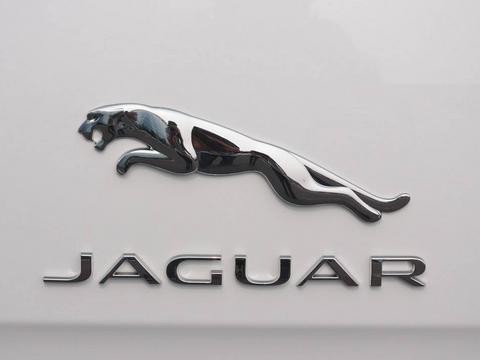 支持高产，快倒闭的品牌被国人“救活”了，如今销量感人！