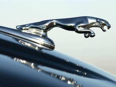 印度这个豪华品牌被国人嫌弃了，首款SUV降价15万