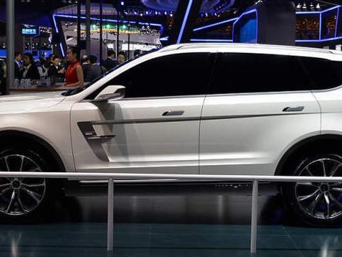 国产第一换人了，连续2个月销量破万，开十年不用修，吉利排第二