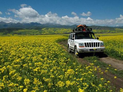 SUV不等于越野车，开这几款车去越野才是真爷们
