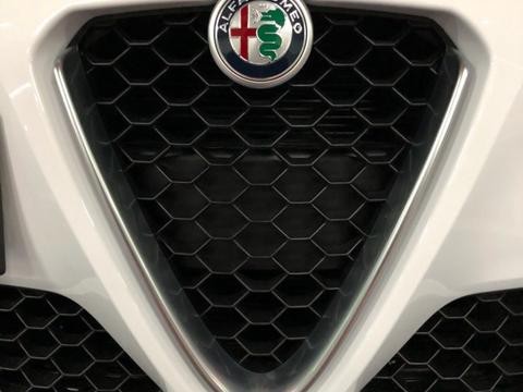 情有所钟,带Giulia回家,解毒中！