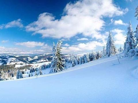 这里有“驾驶技巧“的最新资讯请不要错过