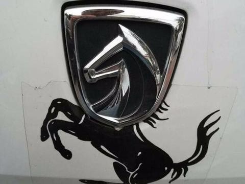 真会玩，这才是爆改车标的最高境界