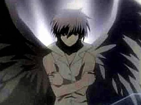 十二星座的专属翅膀，金牛座的稳重，天秤座的优雅，双鱼座的梦幻