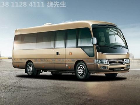 一汽丰田考斯特10座-个性化定制版改装