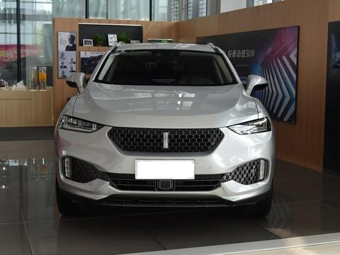 在质疑中成长，长城魏派两款车型月销过万，性价比确实不差