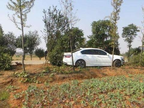 本田思域冲出马路撞断路边树木 车主：不是树小今天就被劈两半了