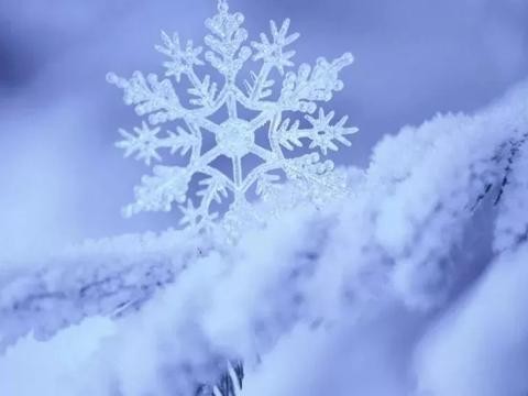 盼雪雪至CLA起步“不耍滑”