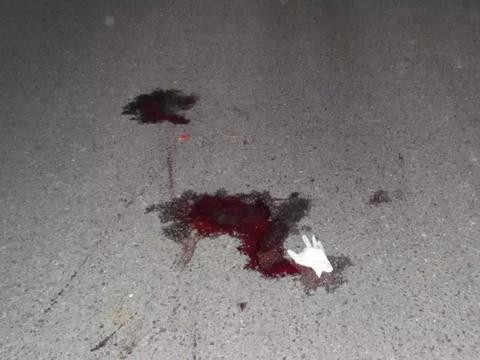 男子深夜横卧桥头, 被珠海大巴当场撞爆头! 案情交警都打冷颤!