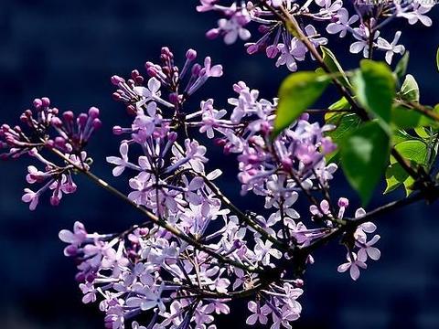 肿瘤消了壳子还在这是怎么回事?