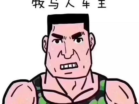 场面太逗了，各品牌车友过年聚会！附高清写真