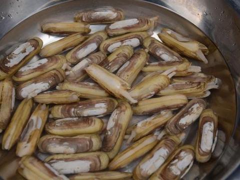 买回来的"蛏子"怎么吐沙才干净?