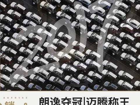 朗逸夺冠 迈腾称王 年终轿车销量TOP20篇！