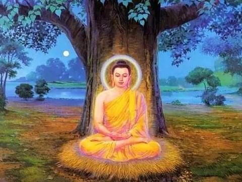 2025年石家庄白佛社区生活服务全解析：你们懂的那些事儿