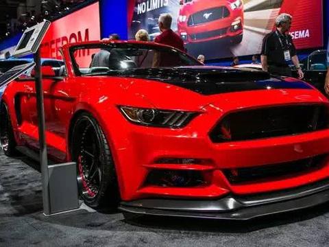 最新最全的“福特“资讯都在这里，不容错过