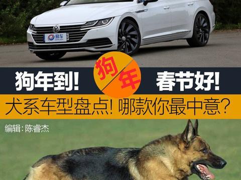 狗年到！“犬系车型”大分类 哪款是你的菜？！