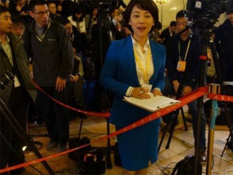 即是高考状元，又是复旦才女，虽没有跑车豪宅，但在央视最受欢迎