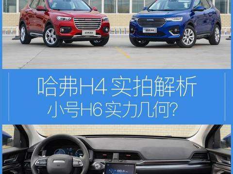 “哈弗“必看资讯都在这，你错过了吗