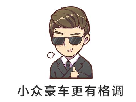 这4款豪车不过20万出头，但是比3系C级拉风多了！！