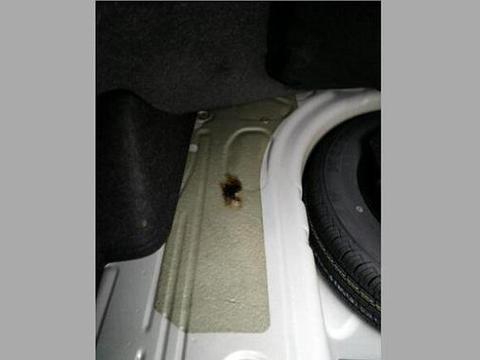 想知道“召回“最近有什么新消息么，都在这里了