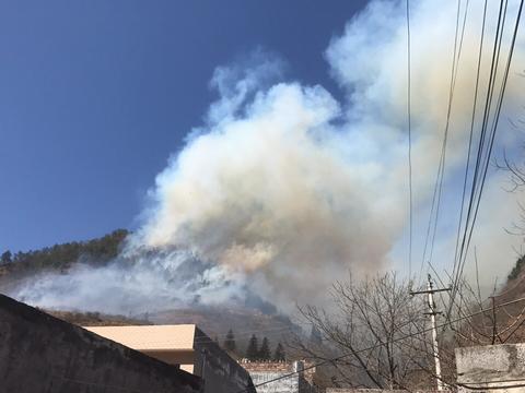 农村过年上山祭祖引发森林大火连烧三天三夜