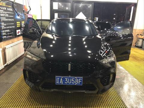 一见钟情 我的薇薇妻 WEY VV7！