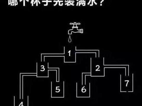 惊爆！全套服务项目有哪些详细解析与实用指南🔥