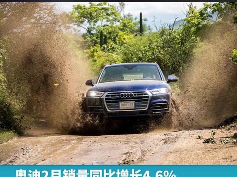 奥迪2月销量同比增长4.6%，中美市场表现最抢眼