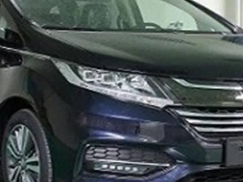 细节上有变化 本田新款奥德赛申报图