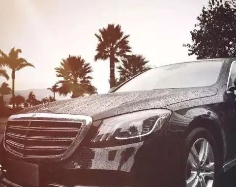 春城追云 引领天下之势