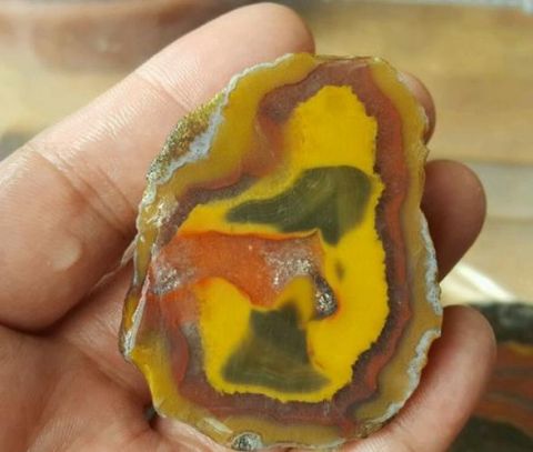 男子在自己的鱼塘里发现了奇怪的“玛瑙石”, 这下发财了!